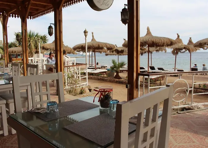 Sunshine Divers Club - Il Porto