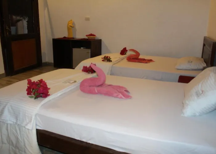 Hotel Sunshine Divers Club - Il Porto *