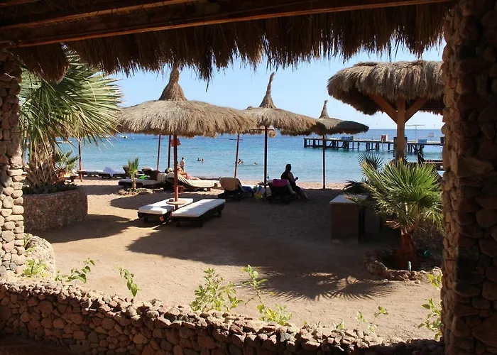 Sunshine Divers Club - Il Porto