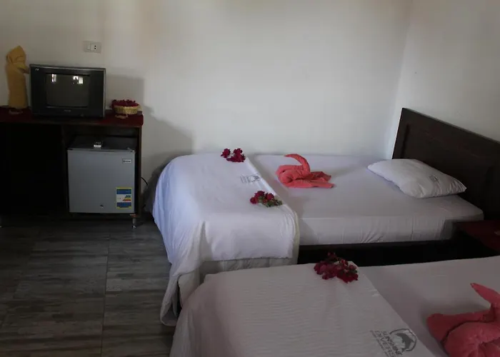 Hotel Sunshine Divers Club - Il Porto Sharm el-Sheikh