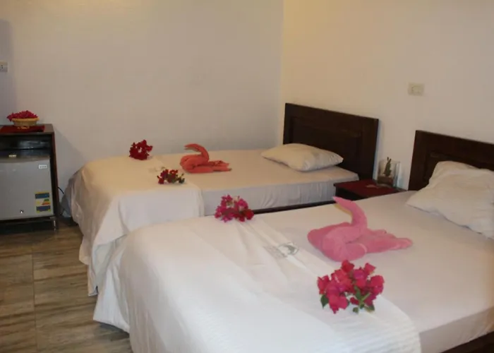 Hotel Sunshine Divers Club - Il Porto *