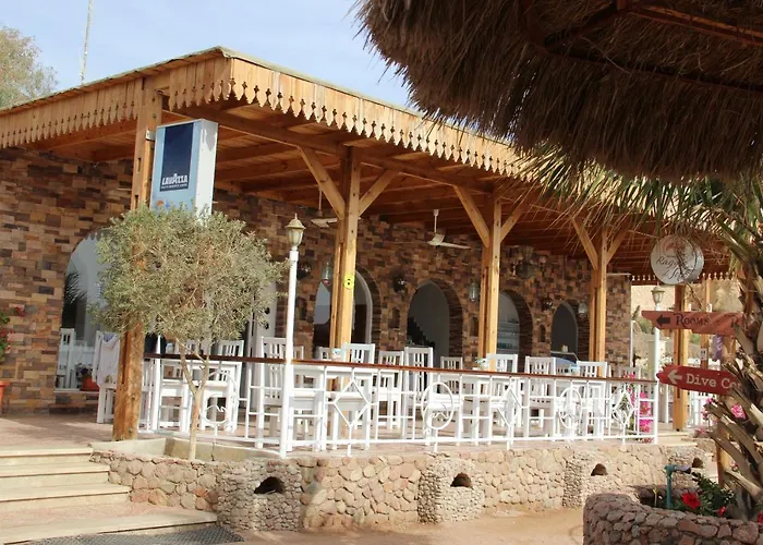 Sunshine Divers Club - Il Porto