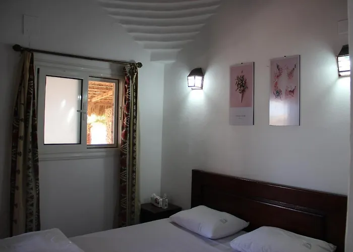 Hotel Sunshine Divers Club - Il Porto *