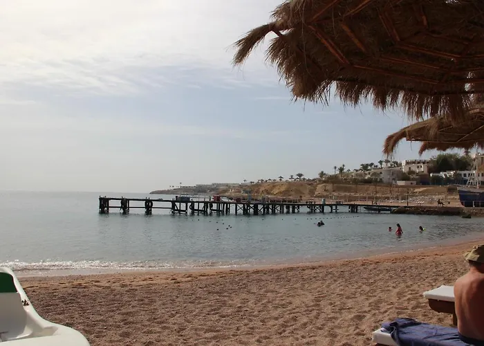 Sunshine Divers Club - Il Porto *