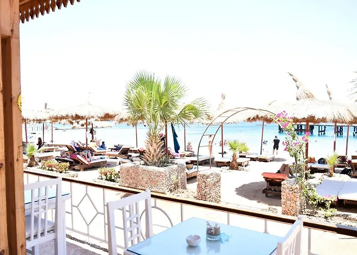 Sunshine Divers Club - Il Porto *