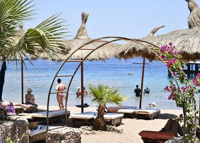 Sunshine Divers Club - Il Porto * Sharm el-Sheikh