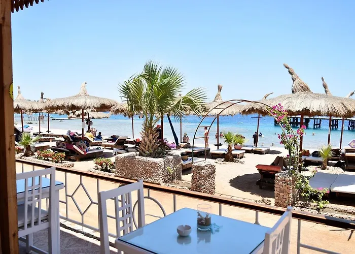 Sunshine Divers Club - Il Porto *