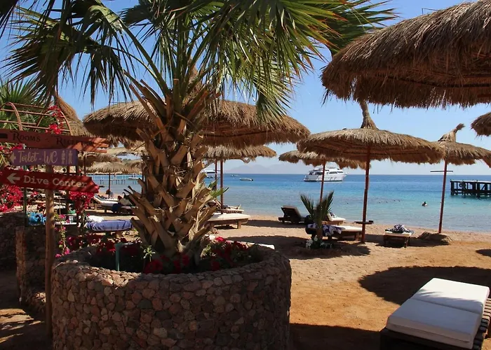 Hotel Sunshine Divers Club - Il Porto *